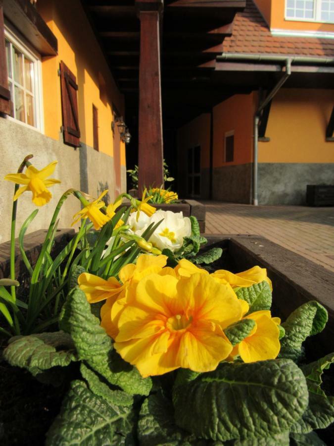 Maison D'Hotes La Ferme Pierre*** Donnenheim Экстерьер фото